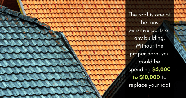 How To Avoid Unnecessary Roof Replacements