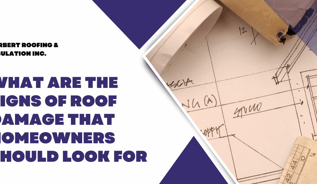 What are the Signs of Roof Damage that Homeowners Should Look For
