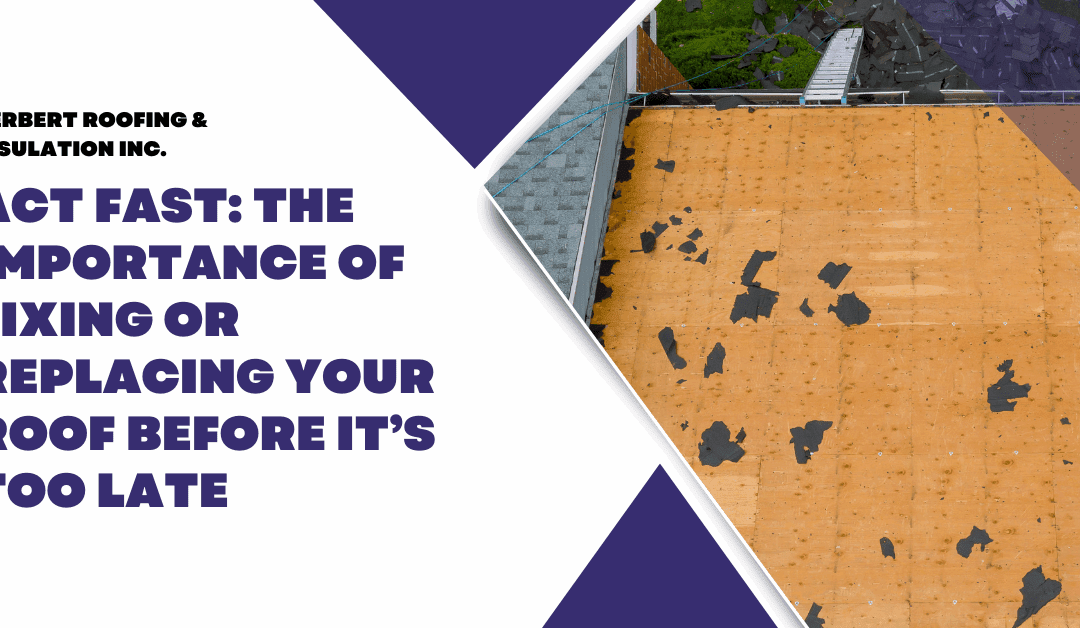Act Fast: The Importance of Fixing or Replacing Your Roof Before It’s Too Late