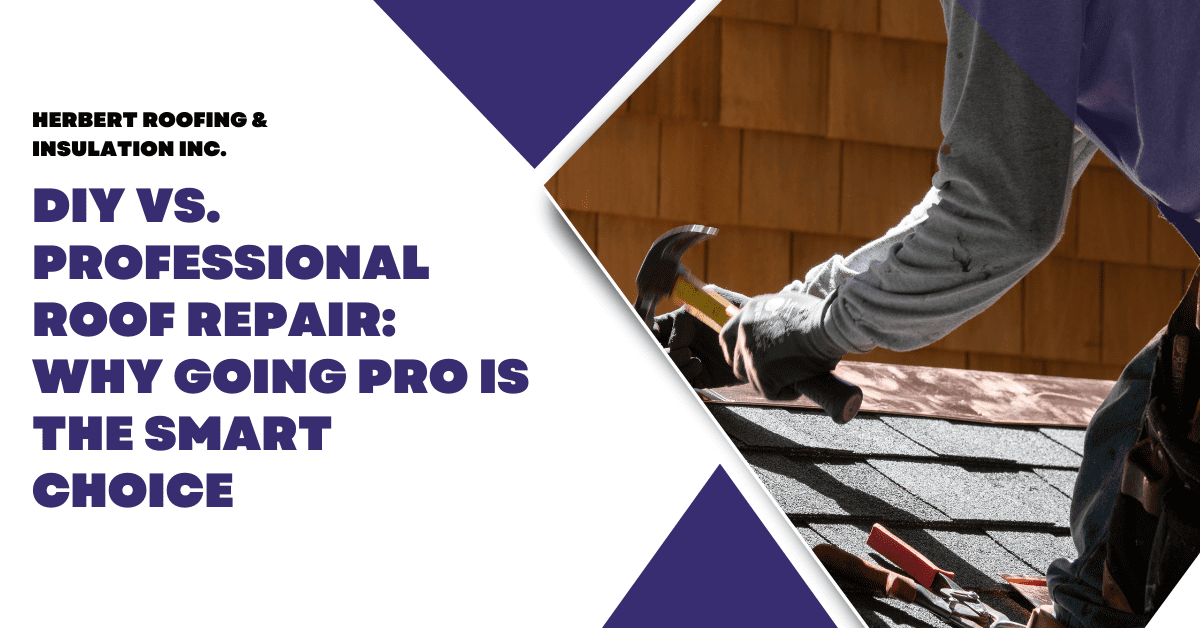 DIY vs. Professional Roof Repair: Why Going Pro is the Smart Choice